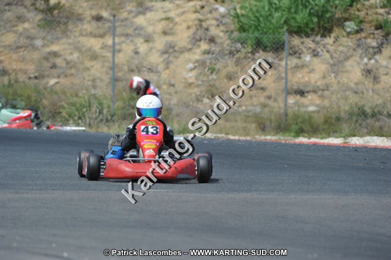 DSC (3132).JPG